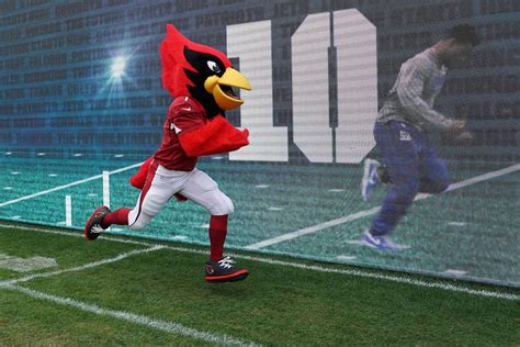 Big Red – The Arizona Cardinals Mascot: An Insider's Look - The ...