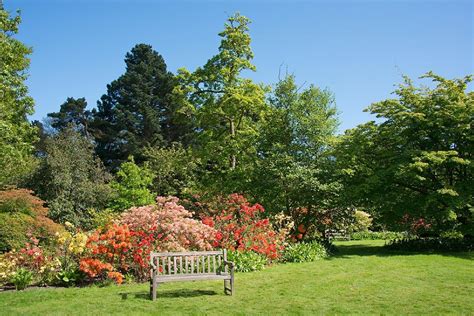 Borde Hill Garden - Historic Houses | Historic Houses