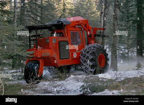 Logging industry Stock Photo - Alamy