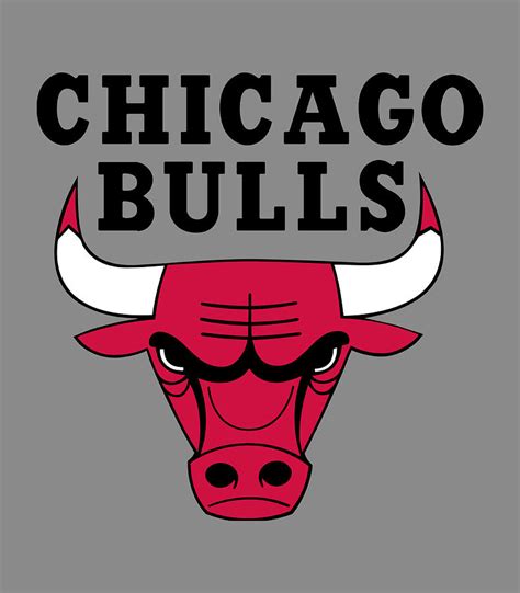 Chicago Bulls NBA logo Digital Art by Matthew Hayward - Pixels