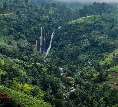 Discover the Best Waterfalls in Nuwara Eliya - You Me Under the Palm Tree