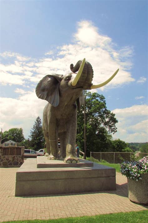 1000+ images about Jumbo the Elephant on Pinterest | Canada, On september and Ontario