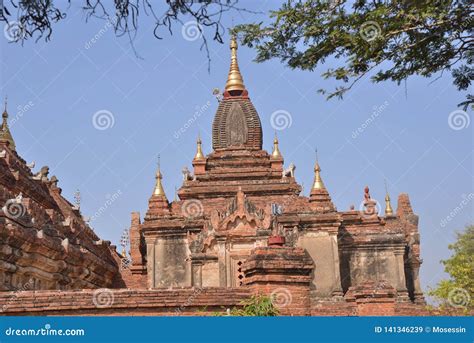 Dhamma download myanmar - garrymoto