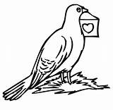 Free Printable Pigeon Coloring Pages For Kids sketch template