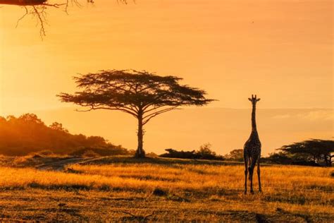 20 Helpful Africa Tips BEFORE Traveling To Africa