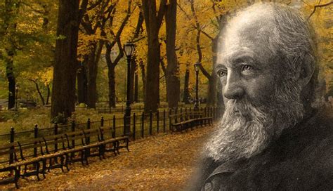 Frederick Law Olmsted: American Landscape Architect (Bio & Facts)