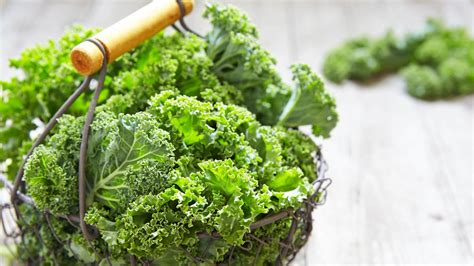 हड्डियां मजबूत बनाने के लिए खाएं केल, जानें इसके फायदे | kale benefits for bone health in hindi ...