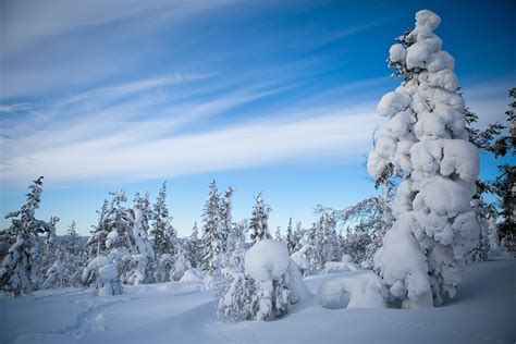 HD Lapland, finland, HD Wallpaper | Rare Gallery