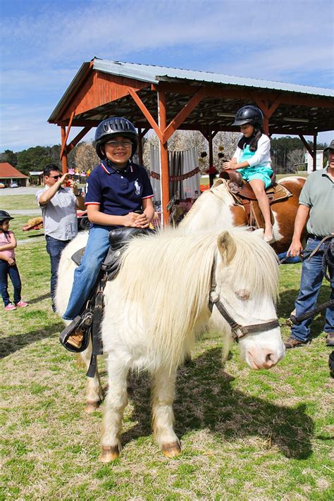 Pony Birthday Party Pony Ride | Pony birthday party, Pony rides, Pony birthday