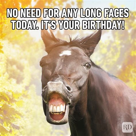 52 Funny Birthday Memes That Will Make Anyone Smile on Their Big Day