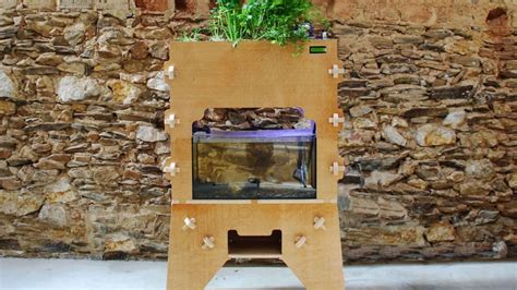 Grow Produce at Home With This Open-Source Fish Tank | Mental Floss