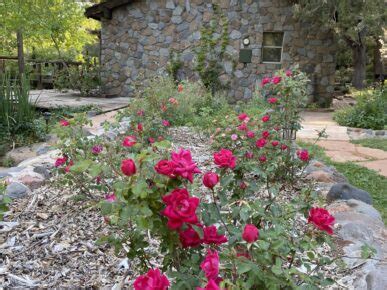 Gallery - Sedona Views Bed and Breakfast, Sedona AZ