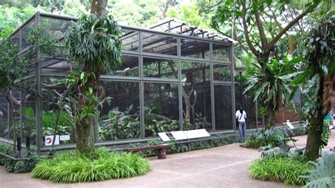 Image detail for -Cockatoo Aviary, Parrot Paradise - Jurong Bird Park ...