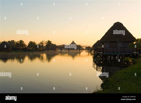 Laguna del Tesoro, Treasure Lagoon at sunrise, Palm trees and wooden ...