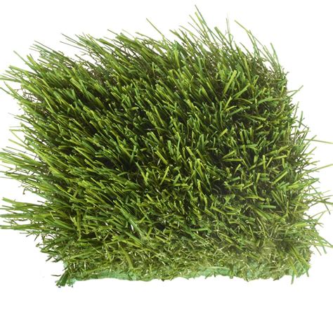 Shop SYNLawn UltraWear I 6-in x 6-in Artificial Grass Sample at Lowes.com