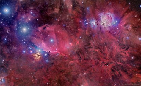 APOD: 2014 November 11 - Orion in Gas, Dust, and Stars