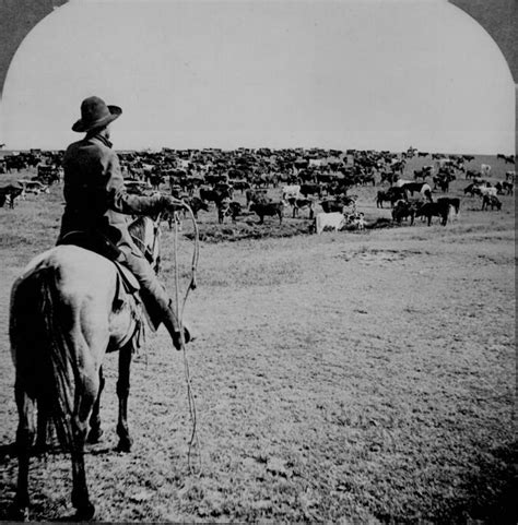 American Frontier: 48 Historic Photos Of Life In The Real "Wild West"