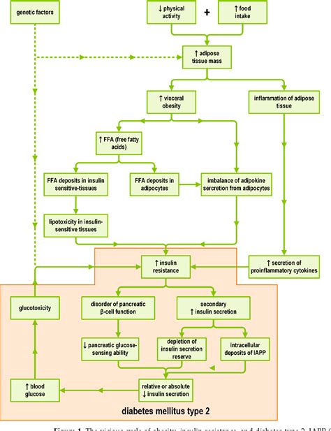 Figure 1 from Diagnosis and Non-Invasive Treatment of Obesity in Adults ...