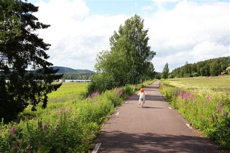 Summer landscape in Sweden stock photo. Image of travel - 144980634