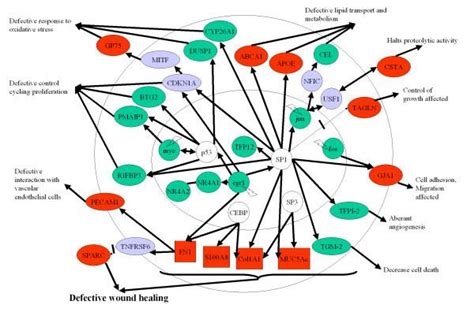 BTG2 - Alchetron, The Free Social Encyclopedia