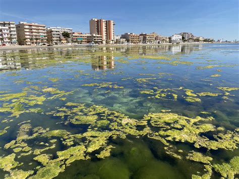 El Mar Menor: ¿está "optimo" para bañarse? - MurciaNoticias