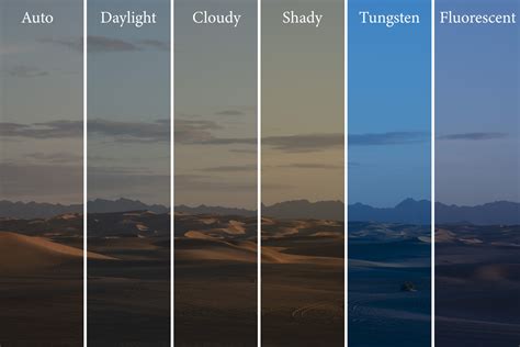 Understanding White Balance - Adam's Trail Notes