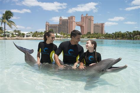 Fun Experiences | Activities In Dubai | Atlantis Dubai | Bahamas travel, Bahamas island, Bahamas
