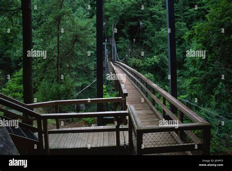 Suspension Bridge, Tallulah Gorge State Park, Georgia Stock Photo - Alamy