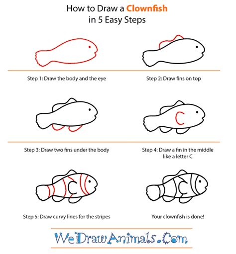 How To Draw Nemo Fish Step By Step : Clownfish Draw Step Tutorial ...