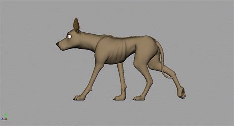 Quadruped Anatomy for Animators