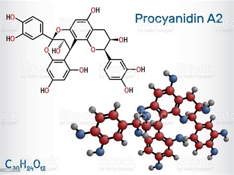 Procyanidin A2 Proanthocyanidin A2 Molecule It Is Natural Product Used ...