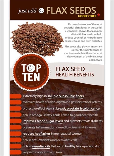 💞 Flax Seeds Health Benefits💞 - Musely