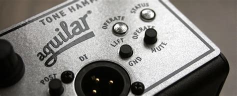 Portable Bass Amp Head Buying Guide | Reverb