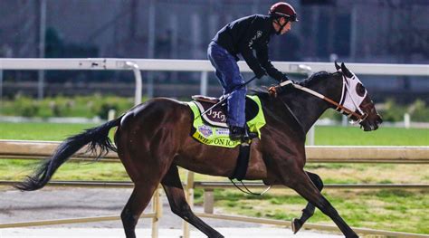 Kentucky Derby horse Wild on Ice dies nine days before race - Sports Illustrated