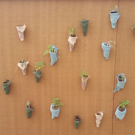 DIY Living Plant Wall | Chicago Botanic Garden