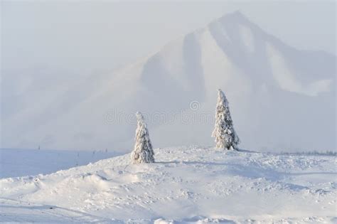 Winter Landscape of Oymyakon. Yakutia, Russia. Stock Photo - Image of snowy, beautiful: 136981630