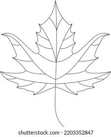 Maple Leaf Line Art Vector Stock Vector (Royalty Free) 2262429771 | Shutterstock