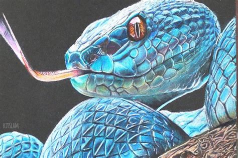 Snake Art - Realistic Viper Snake Drawing | Snake drawing, Snake art ...