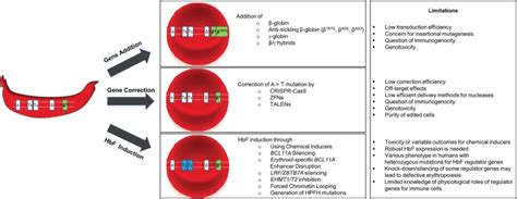 Gene therapy for sickle cell disease: An update - Cytotherapy