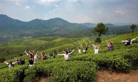 ULTIMATE Guide To Visiting The Tea Plantations In Munnar, India (Kerala)