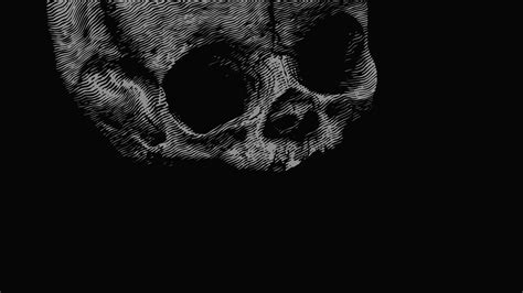 Skull Full HD Wallpaper and Background Image | 1920x1080 | ID:563219