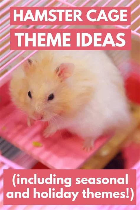 Hamster Cage Themes Ideas (Including seasonal and holiday themes ...