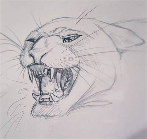 Pencil Sketch - 01 (Panther) by CreativeTouchArt on DeviantArt