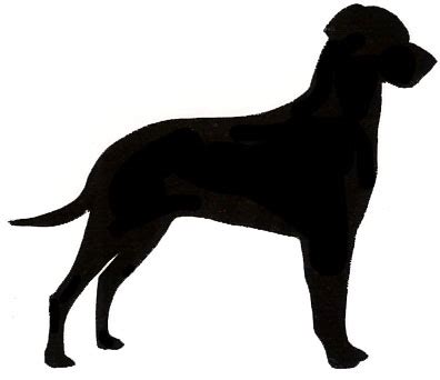 Dalmatian Silhouette at GetDrawings | Free download