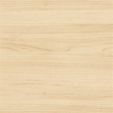 Beech wood light wood fine texture seamless 04300