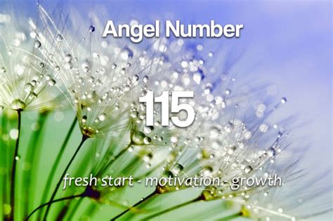 115 Angel Number - Fresh Start and New Motivation - Spirit Animals