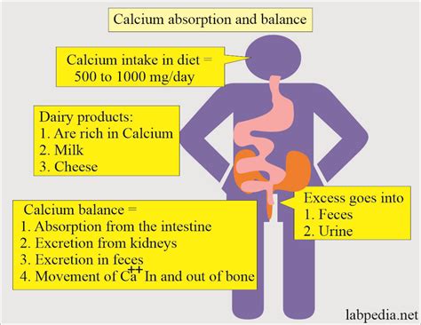 Calcium: - Part 1 - Calcium Total, Hypercalcemia and Hypocalcemia - Labpedia.net