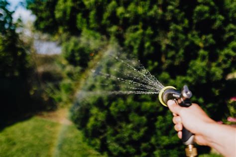 Lawn Watering Guide: Best Time To Water Lawn - The Lawn Shed