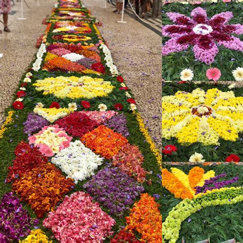 Lindos os tapetes de flores na placa central!! Festa da Flor 2017 #flowerfestival # ...