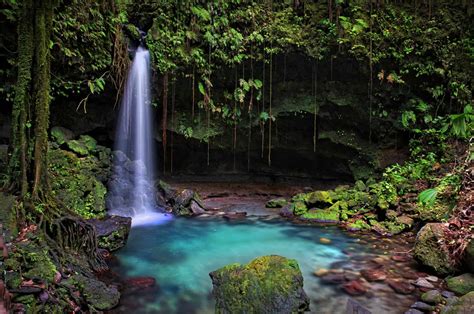 Emerald Pool | Just Go Dominica